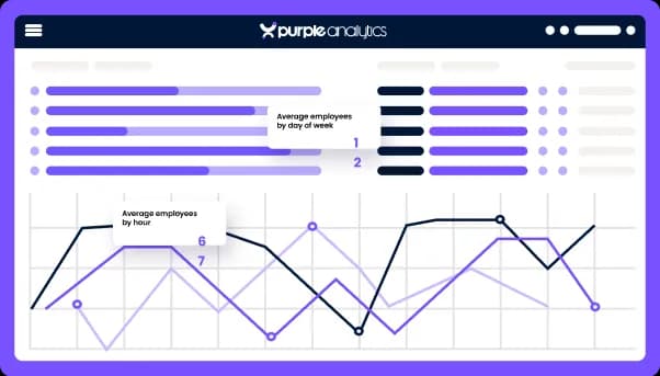 Purple guest WiFi analytics dashboard preview