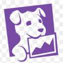 DataDog