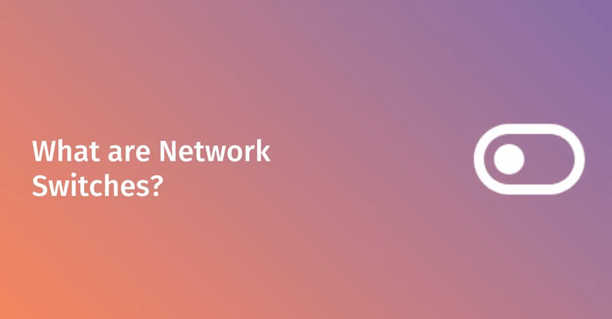 What is a network switch: types, Layer 2 vs 3, and WiFi guide