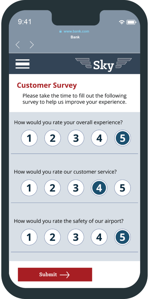airport survey