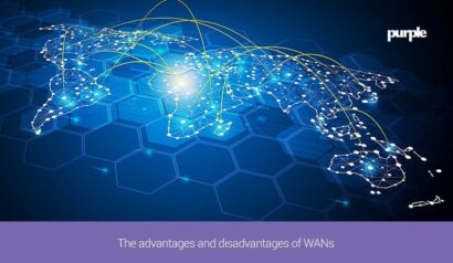 The Advantages and Disadvantages of WANs