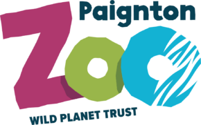 paignton zoo