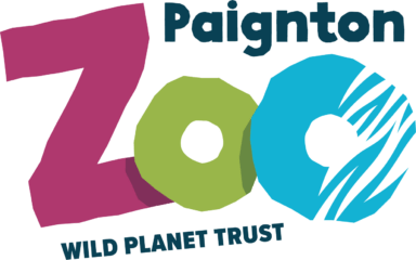 paignton zoo