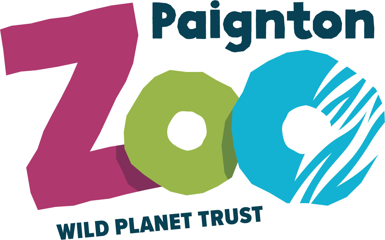 paignton zoo